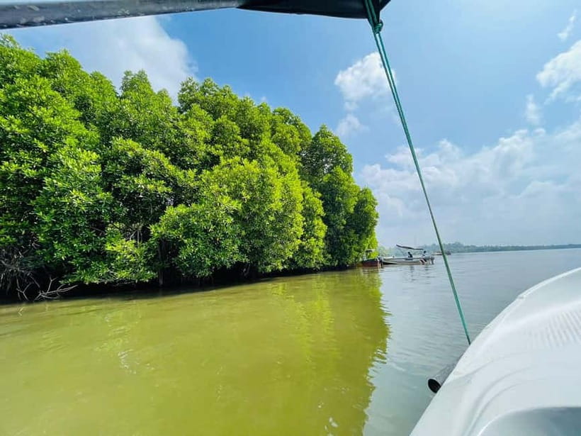 Bentota: River Safari with Hotel Pickup and Drop-Off - What the ride feels like