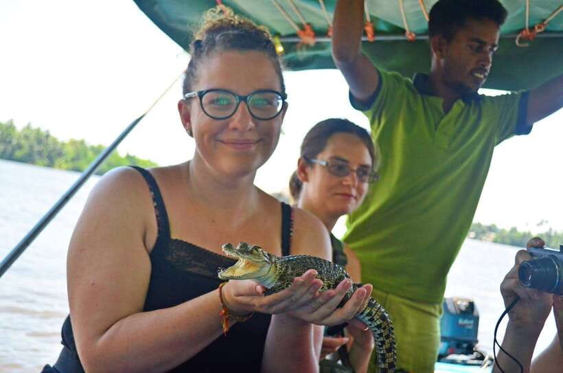 Bentota River Safari with Mangrove and Wildlife Encounter - Why Bentota River is worth seeing by boat