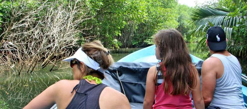 Bentota River Safari with Mangrove and Wildlife Encounter - What the guide adds to the experience