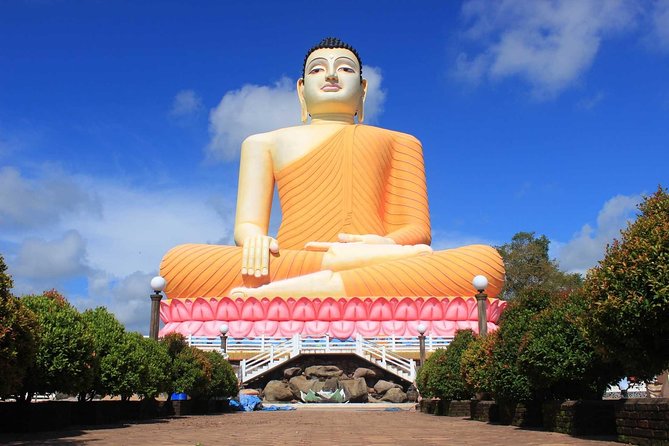 Bentota Village Tour with River Safari & Tea Plantation/Factory - All Inclusive - Tea plantation and factory visit