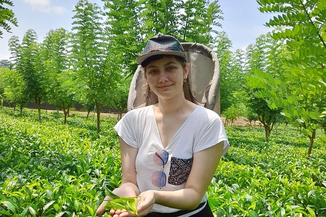 Bentota Village Tour with River Safari & Tea Plantation/Factory - All Inclusive - A village day built from smaller local stops