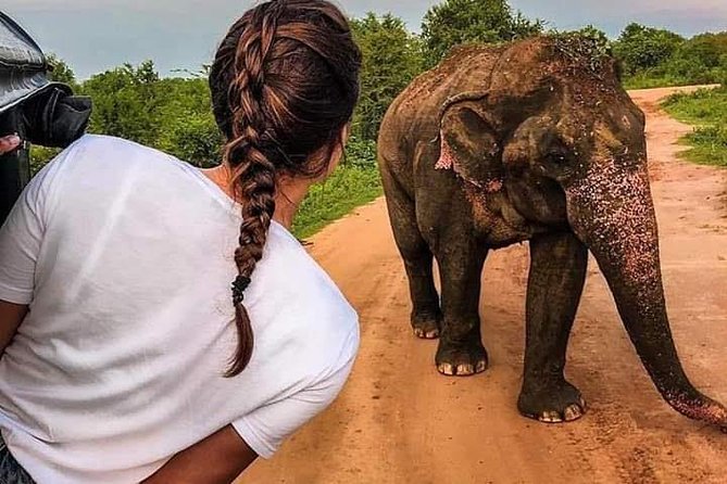 Best Of Sri lanka Tour (06 Days 05 Nights) - Kandy- N.Eliya -Bentota-Colombo - What the six-day route really delivers
