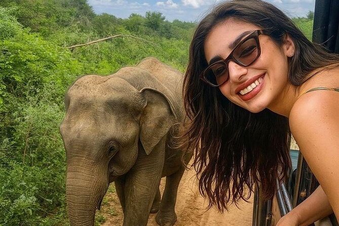 Best Value Yala Safari: Spot Leopards, Elephants & Bears (Shared) - Yala’s leopard country and varied terrain