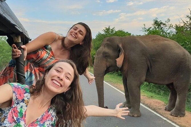 Budget Tours Sri Lanka with 7 Nights accommodation - Day 2: Sigiriya, Dambulla, and Kandy after dark