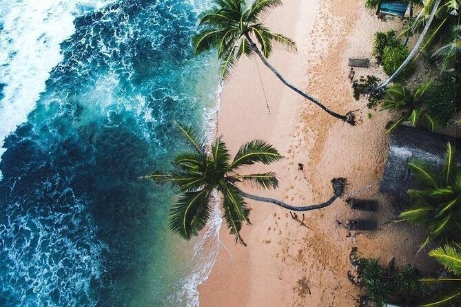 Budget Tours Sri Lanka with 7 Nights accommodation - Day 7: Whale watching, Galle Fort, and turtle conservation