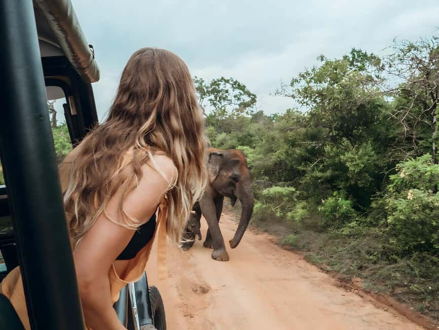 Budget Yala Safari with Accomadation & Meals Included - Arrival dinner in the open kitchen