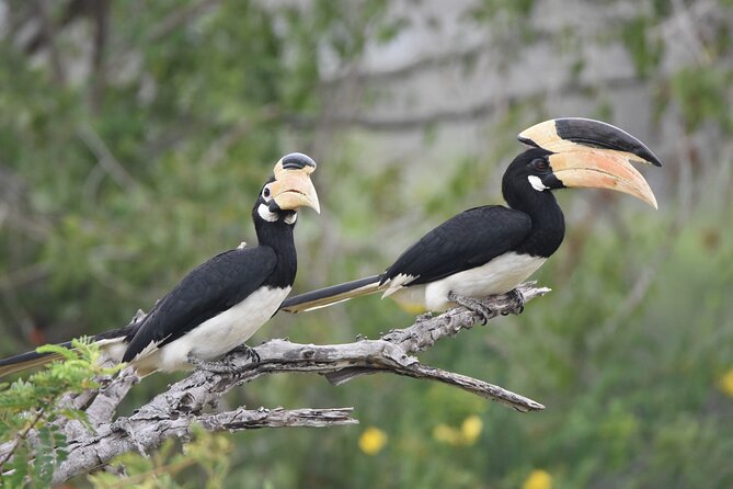 Bundala Birding Paradise - All Inclusive Tour - Guide quality: the key question before booking