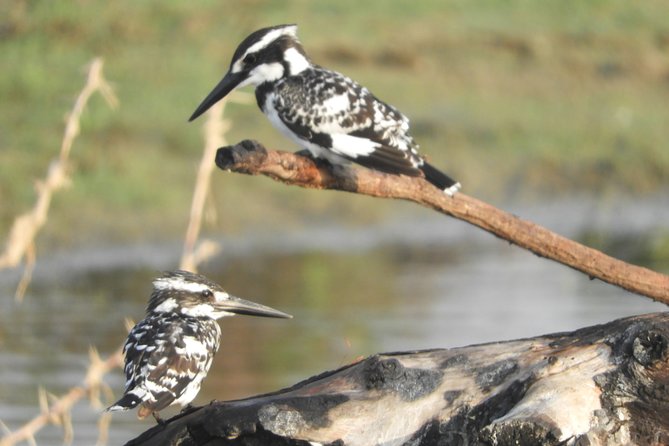 Bundala National Park Birds Watching Safari Tour - Why Bundala is worth choosing over a busier safari