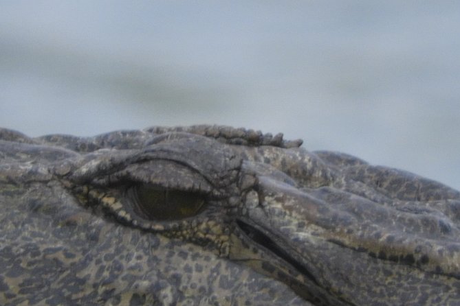 Bundala National Park Birds Watching Safari Tour - Practical details that affect your day