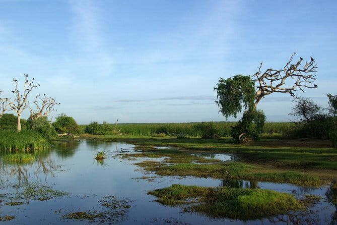 Bundala National Park by Ajith Safari - Starting at 5 a.m. in Tissamaharama