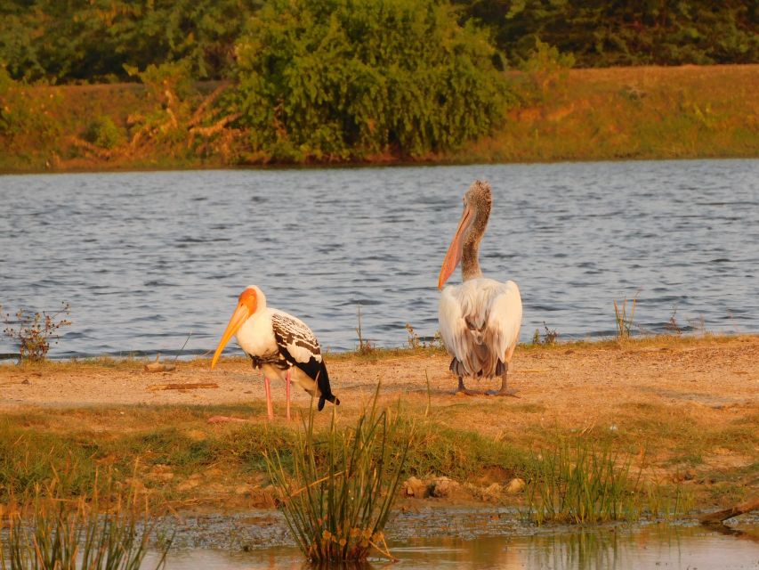 Bundala National Park Safari (PRIVATE TOURS) - The quiet factor is part of the value