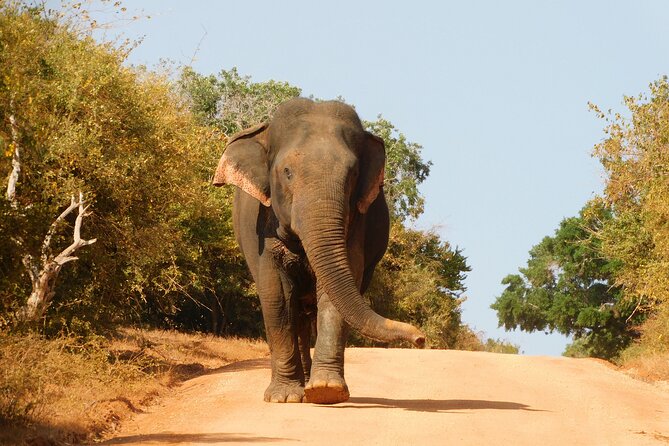 Bundala National Park : Safari Tour with Entrance tickets & Jeep - Entering Bundala’s lagoons and salt flats