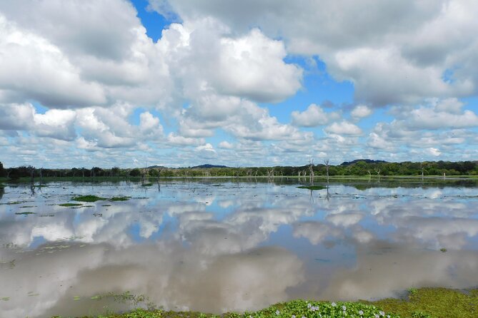 Bundala National Park : Safari Tour with Entrance tickets & Jeep - Comparing the $69 price with the actual value