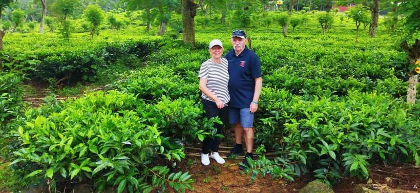 Ceylon Tea Experience from Colombo Port Passenger Terminal - Key points to know before you book