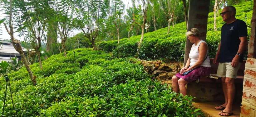 Ceylon Tea Experience from Colombo Port Passenger Terminal - From Colombo Port to Sri Lankan village country