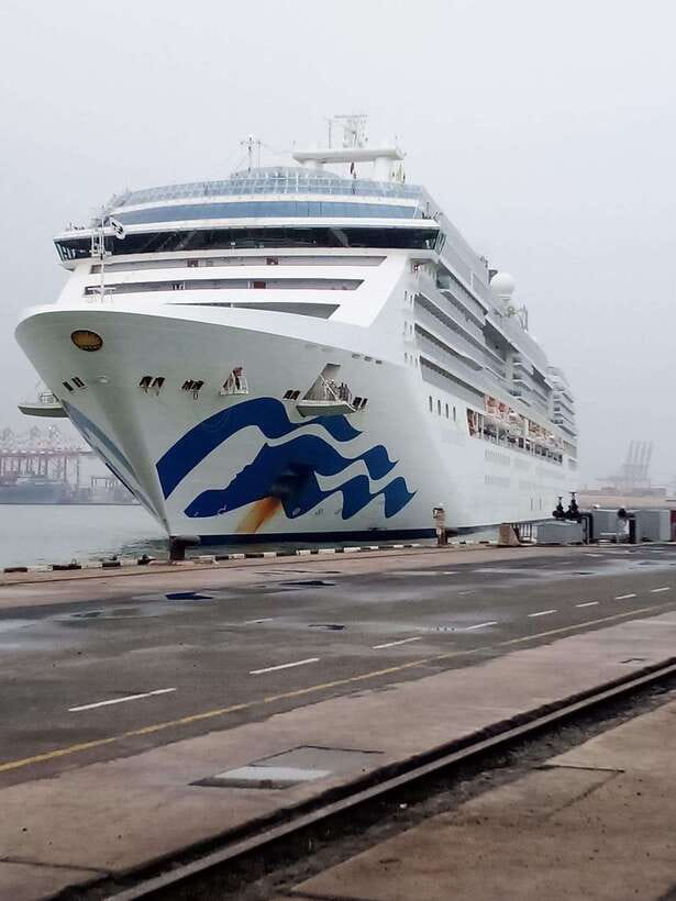 Ceylon Tea Experience from Colombo Port Passenger Terminal - A private car, a calm driver, and the port timing