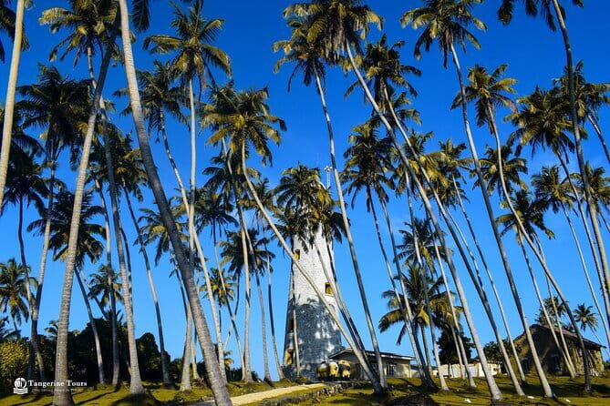 Colombo City Tour By Tuk Tuk (Include Lunch)Morning & Evening - Wolvendaal Church and Colombo Port City