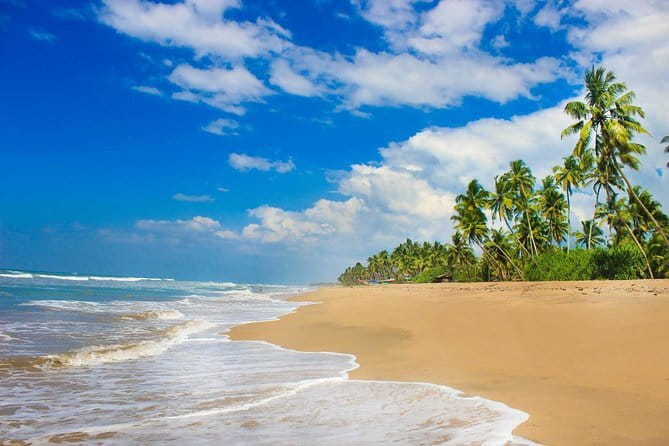 Colombo (CMB) Airport to Kandy City Private Transfer - Booking details worth checking before you go