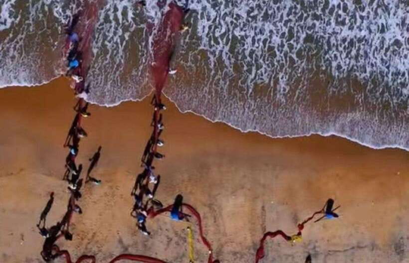 Colombo-Galle Fort, Boat Safari, Turtles, Amazing Group Tour - A long coastal day from Colombo or Negombo