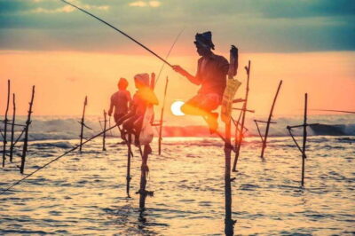 Galle Fort, Boat Safari, Turtles, Amazing Group Tour