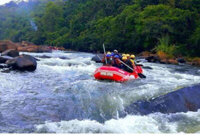 Colombo/ Negombo: Kithulgala White Water Rafting Adventure