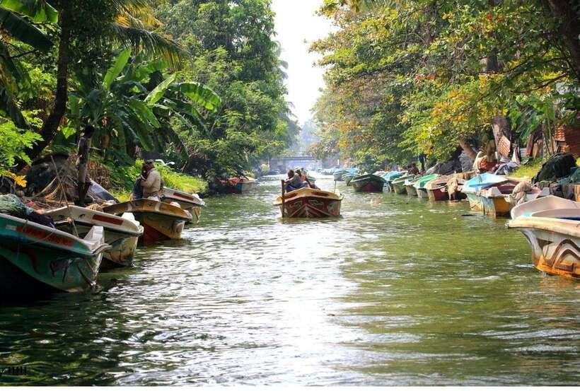 Colombo/Negombo: Muthurajawela & Dutch Canal Boat Adventure - From wetland sanctuary to Negombo’s canals