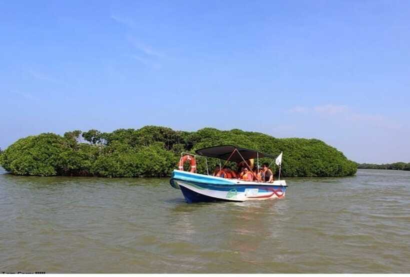 Colombo/Negombo: Muthurajawela & Dutch Canal Boat Adventure - Who should book this morning?