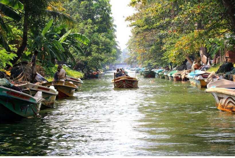 Colombo/Negombo: Muthurajawela & Dutch Canal Boat Adventure - Should you book the Muthurajawela and Dutch Canal tour?