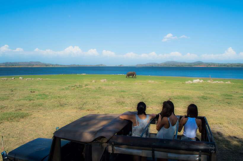 Colombo/Negombo: Sigiriya, Dambulla, and Minneriya Safari - Should you book it?