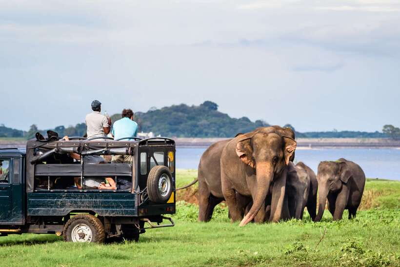 Colombo/Negombo: Sigiriya, Dambulla, and Minneriya Safari - Who should book this tour?
