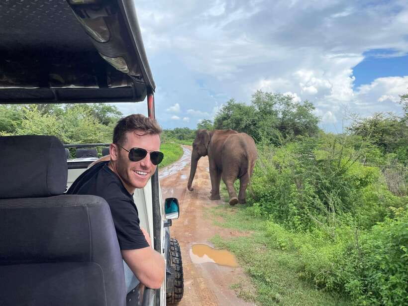 Colombo/Negombo: Sigiriya, Kandy, Ella 3-Day Trip with Train - Day two: tea country, waterfalls, and the train to Ella