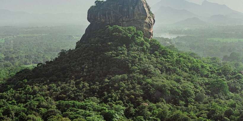 Colombo/Negombo to Sigiriya, Dambulla & Jeep Safari Day Tour - A jeep safari among elephants and birds