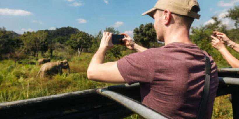 Colombo/Negombo to Sigiriya, Dambulla & Jeep Safari Day Tour - Should you book it?