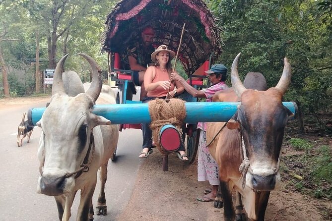 Colombo , Negombo to Trincomalee Transfer and Safari - Who should book this experience?