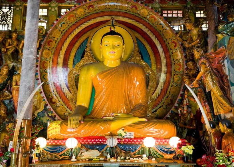 Colombo: One Day Private City Tour With Gangaramaya Temple - Who will get the most from this tour?