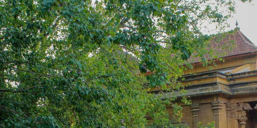 Colombo Port Shore Excursions Colombo City & Kalaniya Temple - Key points at a glance