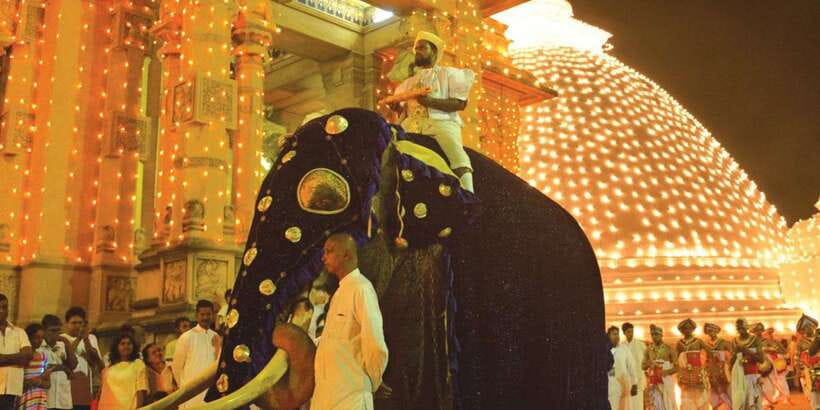 Colombo Port Shore Excursions Colombo City & Kalaniya Temple - Kelaniya Temple and Colombo’s Buddhist tradition