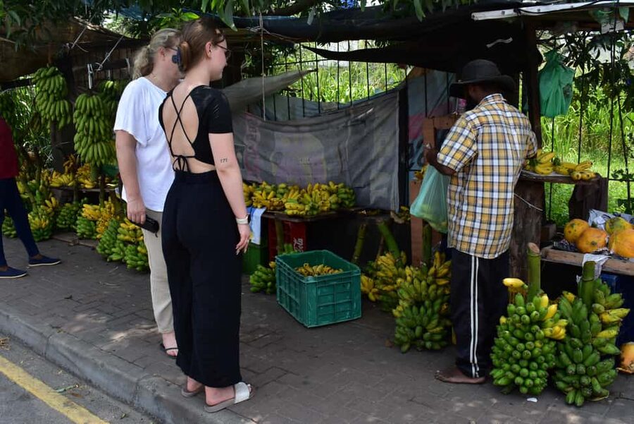 Colombo: private city tour from Negombo with hotel transfers - Galle Face Hotel and the Indian Ocean view