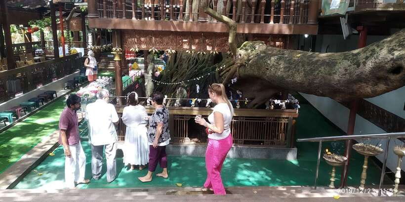Colombo Tuk Tour with Food and Drinks(morning and evening) - Gangaramaya Temple sets the tone