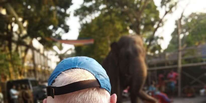 Colombo Tuk Tour with Food and Drinks(morning and evening) - The tuk tuk ride is part of the appeal