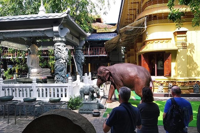 Colombo TUK TUK CITY Tours -Sightseeing Entry Fees - Timing, pickup, and the real value of $34