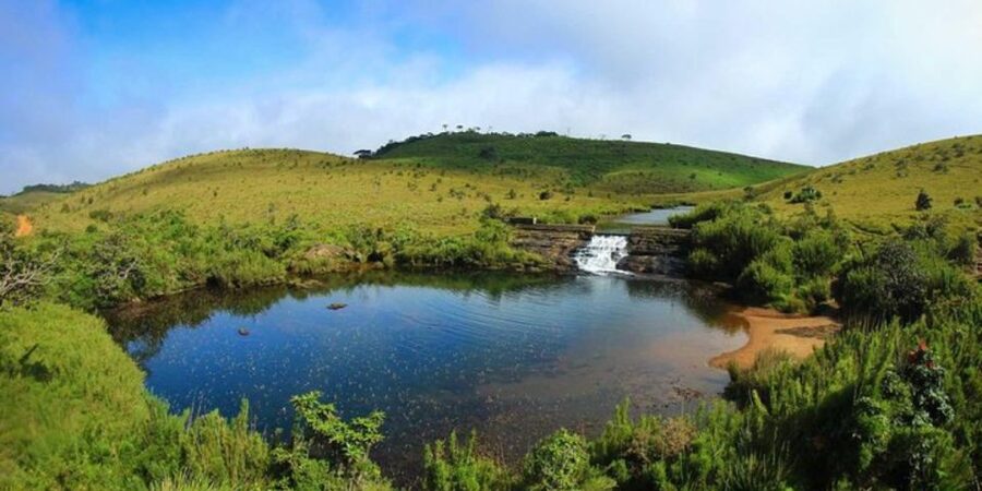 Comprehensive Excursion: Horton Plains and Pedro Tea Factory - Lunch needs a clear plan