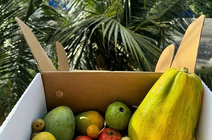Cooking Class and Market Visit in Negombo - What the private format changes