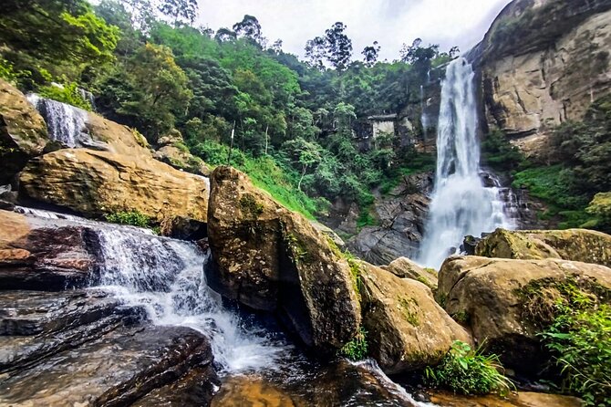 Customized Multi-Day Private Tour Packages in Sri Lanka - Day 4: Wildlife and the Nine Arch Bridge