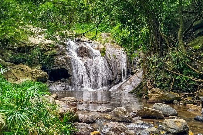 Customized Multi-Day Private Tour Packages in Sri Lanka - Day 6: Madu River and turtle conservation