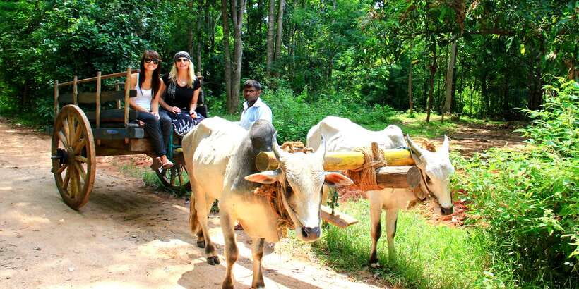 Dambulla: Cave Temple and Village All-Inclusive Tour - Learning to cook, then eating lunch