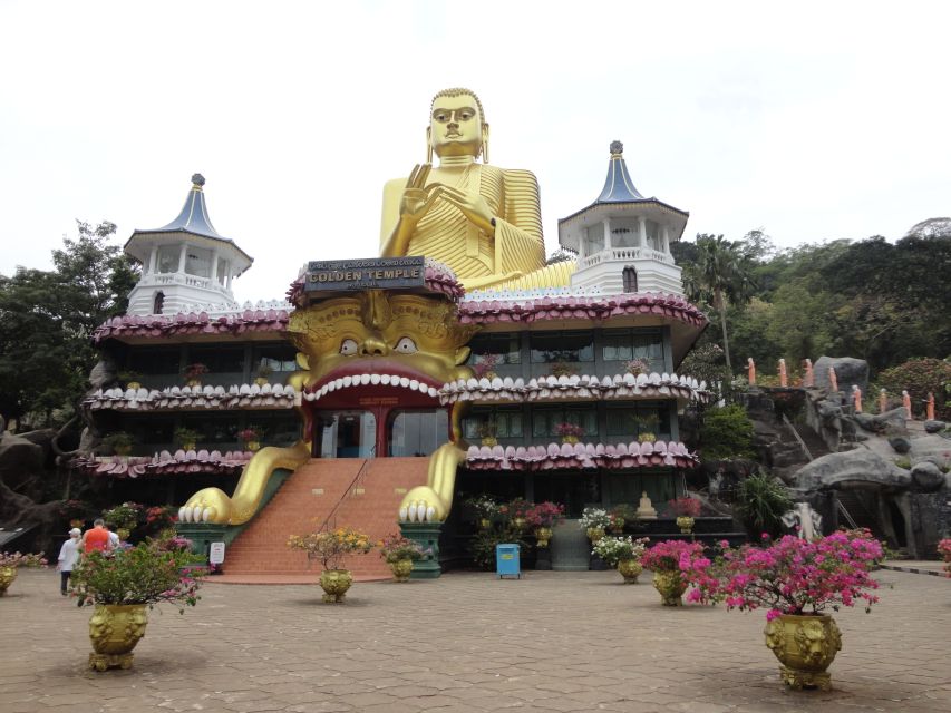 Dambulla: Cave Temple and Village All-Inclusive Tour - Timing, transport, and physical demands