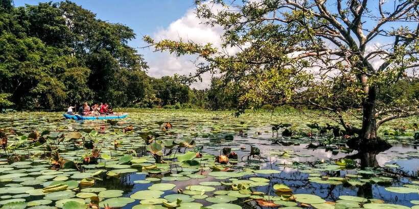 Dambulla: Cave Temple and Village All-Inclusive Tour - Should you book the Dambulla Cave Temple and Village Tour?