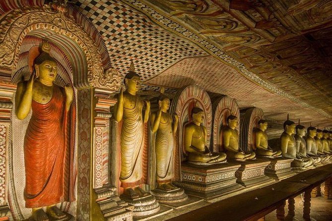 Dambulla & Sigiriya Day Tour from Colombo / Negombo with Lunch - Minneriya and the Optional Elephant Safari