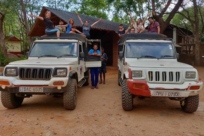 Dambulla & Sigiriya Day Tour from Colombo / Negombo with Lunch - What the Long Drive Means for You